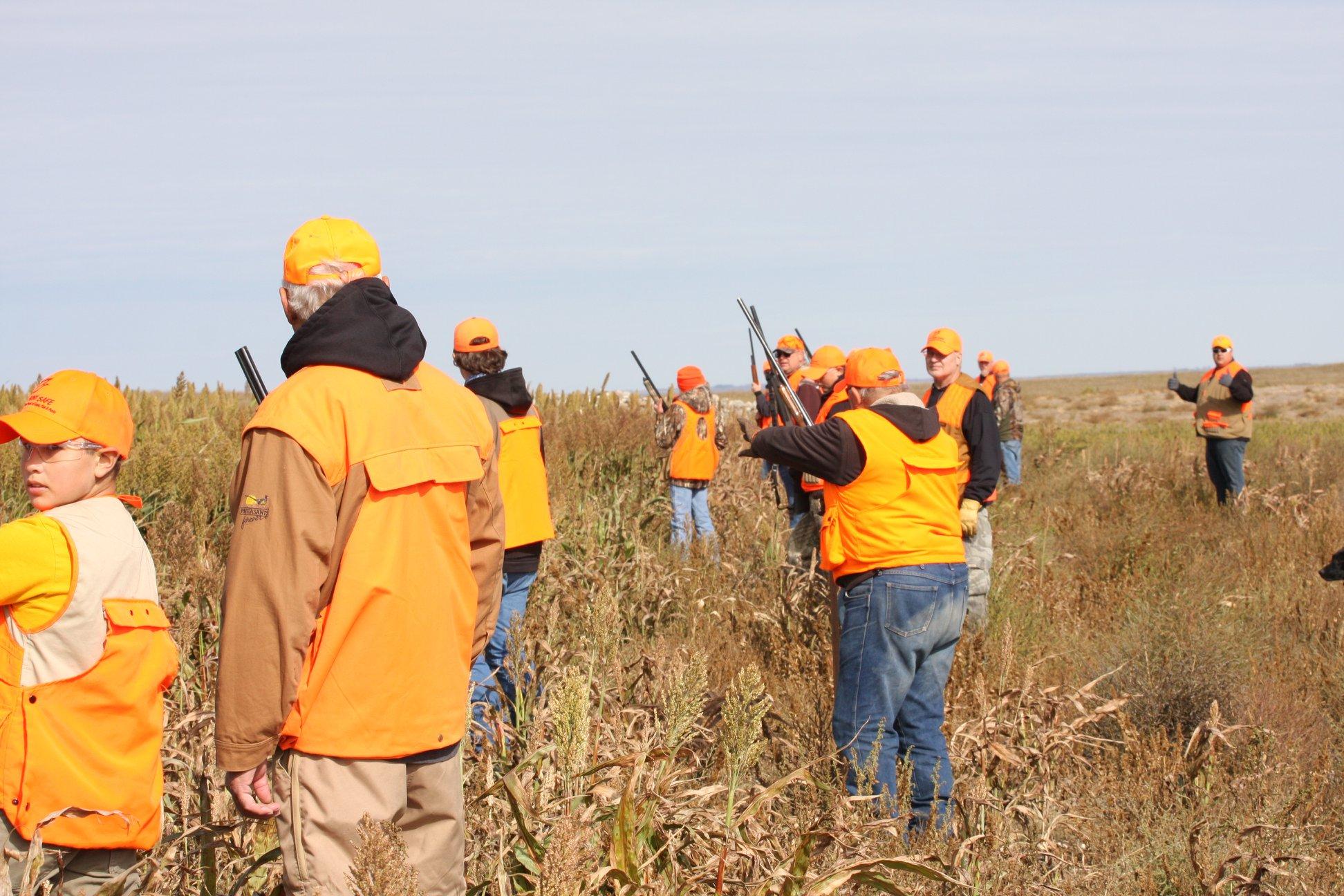Pheasant hunters in the field