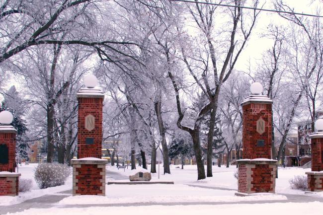 NSU Campus in Winter